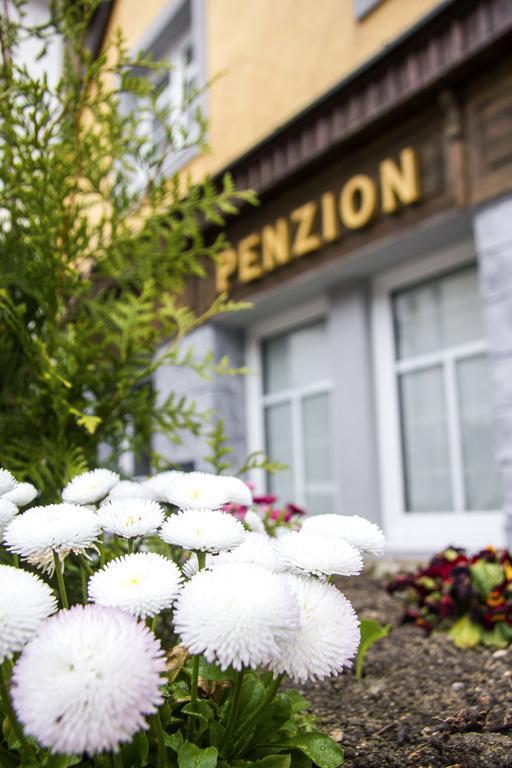 Penzion 43 Bor المظهر الخارجي الصورة